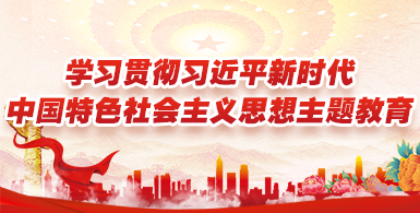 学习贯彻习近平新时代中国特色社会主义思想主题教育
